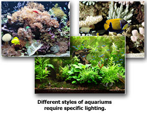 Different Aquarium Styles Require Specific Lighting