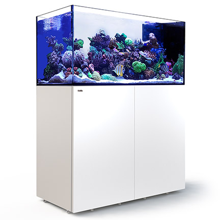 Liveaquaria Roved Aquatic Supplies Red Sea Reefer Peninsula 500 Red Sea Reefer Peninsula 500 Rimless Reef Ready System White