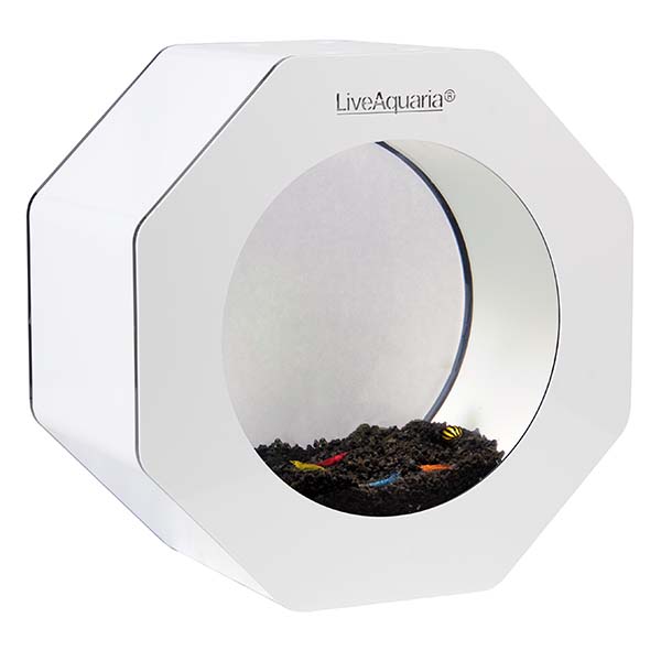 LiveAquaria® Beginner Shrimp Aquarium Kit Octi White