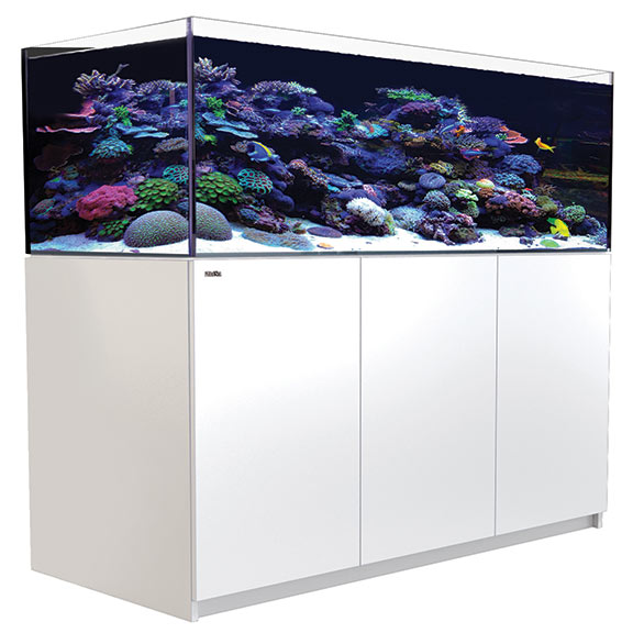 Red Sea REEFER™ XL 525 - White