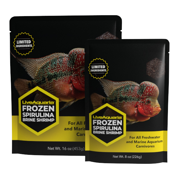 LiveAquaria® Frozen Spirulina Brine Shrimp - Flatpacks