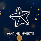 Marine Inverts