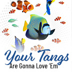 Tangs and Friends