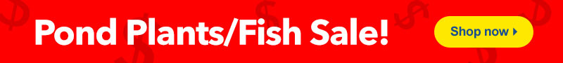 Pond Plants/Fish Sale