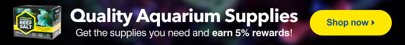 Quality Aquarium Supplies