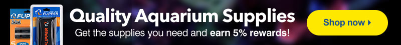 Quality Aquarium Supplies