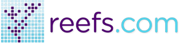 Best of Show Award Reefs.com Logo